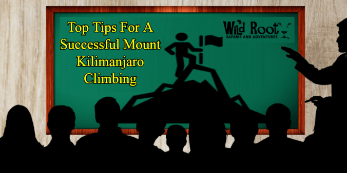 Kilimanjaro Climbing | Climb Kilimanjaro | Wild Root Safaris